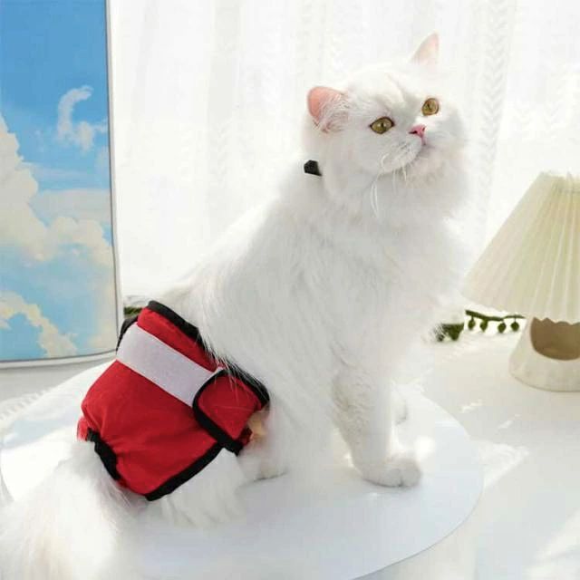 FOXBUS 楽天市場店のサニタリーパンツ オムツカバー 2枚セット 犬 中大型犬 マナーパンツ 小型犬 無地 尿もれ 防水 吸水 ドッグウェア 発情期 術後ウェア 対｜アングル3