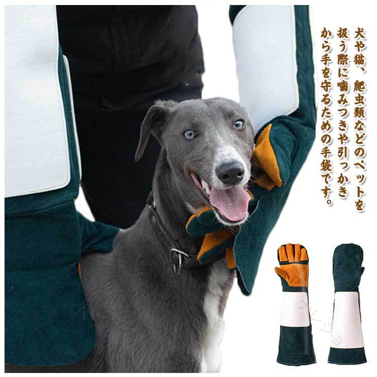 犬や猫、爬虫類などのペットを扱う際に噛みつきや引っかきから手を守るための手袋です。 皮革を使用した厚手の作りで、耐摩耗性・耐熱性に優れています。噛まれても皮革がペットの歯に耐えるため、傷を負うことなく安心して作業ができます。また、耐熱性に優れているため、キャンプやBBQなどのアウトドアシーンでも活躍します。直接肌の当たる部分には、裏地として、肌触りの良い素材を使用しておりますので、イヤな感触も無く、使いやすく出来ている事もポイントです。ゆったりとしたサイズ感で、男女問わずお使いいただけます。 サイズ 35cm 60cm サイズについての説明 35cm 60cm 素材 牛革 色 グリーン 備考 ●サイズ詳細等の測り方はスタッフ間で統一、徹底はしておりますが、実寸は商品によって若干の誤差(1cm〜3cm )がある場合がございますので、予めご了承ください。 ●商品の色は、撮影時の光や、お客様のモニターの色具合などにより、実際の商品と異なる場合がございます。あらかじめ、ご了承ください。 ●製品によっては、生地の特性上、洗濯時に縮む場合がございますので洗濯時はご注意下さいませ。 ▼色味の強い製品によっては他の衣類などに色移りする場合もございますので、速やかに（脱水、乾燥等）するようにお願いいたします。 ▼生地によっては摩擦や汗、雨などで濡れた時は、他の製品に移染する恐れがございますので、着用の際はご注意下さい。 ▼生地の特性上、やや匂いが強く感じられるものもございます。数日のご使用や陰干しなどで気になる匂いはほとんど感じられなくなります。 【原産国／製造国: 中国】 .犬 猫 ペットグローブ 牛革 手袋 噛みつき防止 噛み癖 保護 セーフティグローブ ロング 35cm 60cm 耐熱性 トレーナー しつけ 躾 引っかき防止 園芸 爬虫類 動物 アウトドア キャンプ 噛む 噛まれるの防止 安全 保護グローブ 多用途 ペット用品 犬用 猫用 しつけ用 グローブ 保護手袋 噛む癖 トレーニング用品 ペットケア 噛みつき防止グローブ。 指定された配送時間は承っておりません。【ナレショップ】