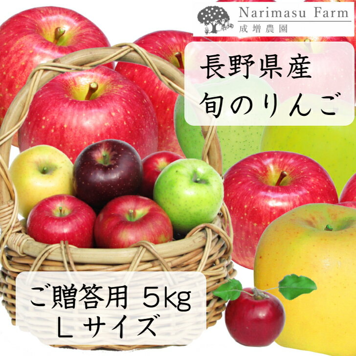 贈答用L5kg りんご 長野 信州 産地直送 旬 送料無料 サンふじ ふじ 5kg 信州りんご フルーツ 果物 成増 リンゴ 林檎 アップル apple 大 L 贈答用 のし 贈り物 プレゼント ギフトのサムネイル