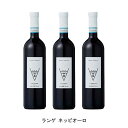 3本まとめ買い ランゲ ネッビオーロ 2020年 テッレ エ ボルギ イタリア 赤ワイン フルボディ イタリアワイン ピエモンテ イタリア赤ワイン ネッビオーロ 750ml