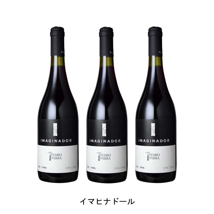 [3本まとめ買い] イマヒナドール 2018年 ペドロ・パッラ・イ・ファミリア チリ 赤ワイン ミディアムボ..