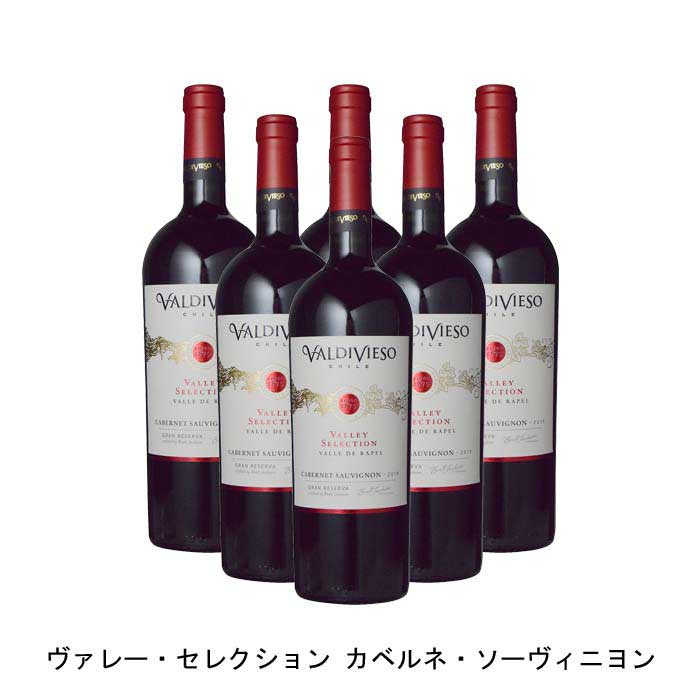  ヴァレー・セレクション カベルネ・ソーヴィニヨン 2019年 ビーニャ・バルディビエソ チリ 赤ワイン フルボディ チリワイン セントラル・ヴァレー チリ赤ワイン カベルネ・ソーヴィニヨン 750ml
