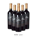 [6本まとめ買い] マグナ シラー 2019年 ボデガス・カリア アルゼンチン 赤ワイン フルボディ アルゼンチンワイン トゥルン・ヴァレー アルゼンチン赤ワイン シラー 750ml