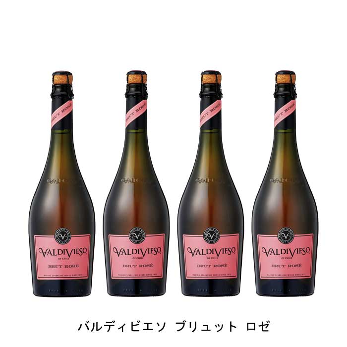 [4本まとめ買い] バルディビエソ ブリュット ロゼ ビーニャ・バルディビエソ チリ ロゼワイン 辛口 チリワイン セントラル・ヴァレー チリロゼワイン ピノ ノワール 750ml