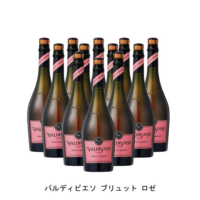 [12本まとめ買い] バルディビエソ ブリュット ロゼ ビーニャ・バルディビエソ チリ ロゼワイン 辛口 チリワイン セントラル・ヴァレー チリロゼワイン ピノ ノワール 750ml