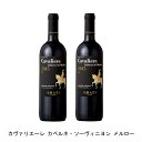 【商品説明】・商品 : カヴァリエーレ カベルネ・ソーヴィニヨン メルロー(Cavaliere Cabernet Merlot Rosso di Toscana I.G.T.)・ヴィンテージ : 2018年・生産者(ワイナリー) : グラーティ(Azienda Agricola F.lli Grati)・原産国 : イタリア・品種(原材料) : カベルネ・ソーヴィニヨン 50%/メルロー50%・容量 : 750ml【補足説明】・コンクール : サクラ・アワード 2019 金賞・保存方法 : 直射日光・振動を避け、18℃以下の場所で保管して下さい。・ワイン説明ルフィナの名門、グラーティ家が造る、カベルネ・ソーヴィニヨンとメルローを使った高品質ワイン。深いルビー色、カシスやプラムの香りが広がりギュッと凝縮した果実味が楽しめます。【特記事項】・商品画像は参考イメージとなり、ラベルデザイン変更やヴィンテージ変更などで、実際の商品とは異なる場合がございます。・商品画像のヴィンテージと商品説明のヴィンテージが違うは場合は、商品説明のヴィンテージでの対応とさせて頂きます。・ヴィンテージ切替やヴィンテージ変更が発生した場合は、ご注文を頂いた際に変更連絡を実施させて頂きます。・商品の配送は、配送手配が完了次第お送り致しますので、配送予定日よりも早くなる場合がございます。当商品で検索されている 人気 ・ おすすめ キーワードワイン 赤ワイン イタリアワイン イタリア赤ワイン ワインセット 赤ワインセット イタリアワインセット イタリア赤ワインセット まとめ買い 飲み比べ ギフト プレゼント 誕生日 お中元 お歳暮 金賞 銀賞 受賞 高得点 サクラアワード ワインアドヴォケイト ワインスペクター ソムリエ厳選