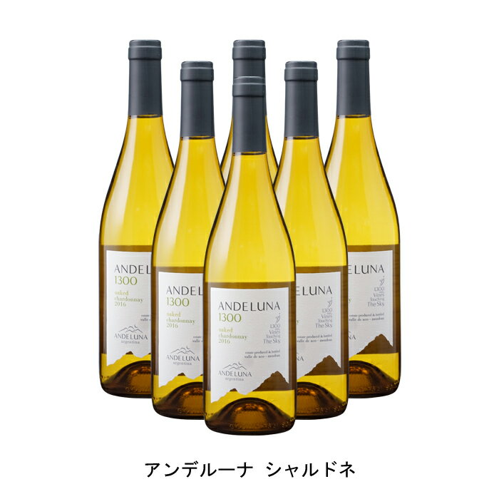 [6本まとめ買い] アンデルーナ シャ�