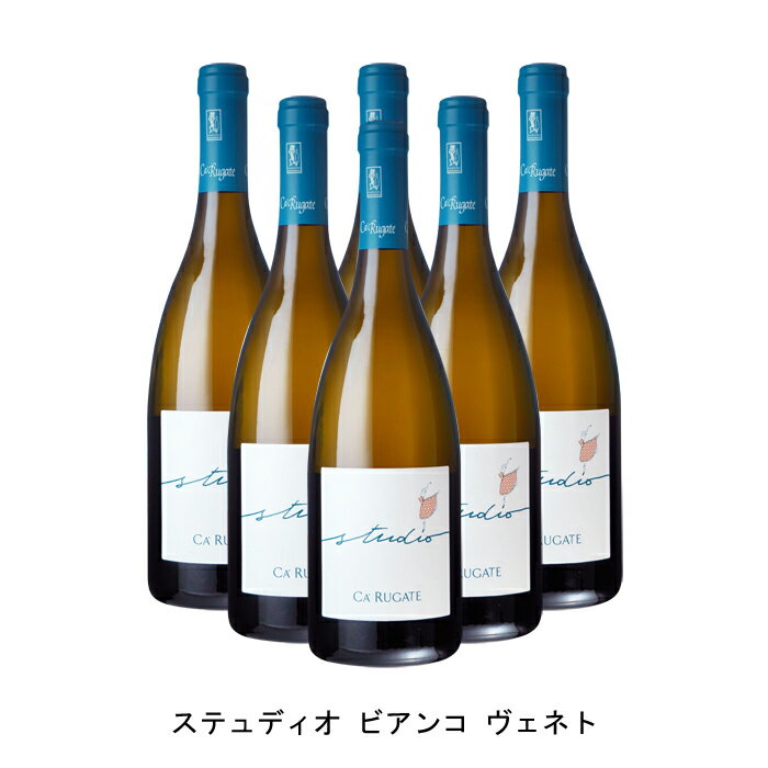 [6本まとめ買い] ステュディオ ビアンコ ヴェネト 202