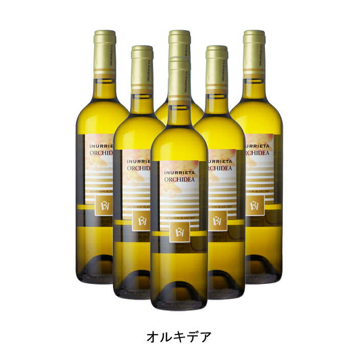 [6本まとめ買い] オルキデア 2020年 ボデガ イヌリエータ スペイン 白ワイン 辛口 スペインワイン ナバラ スペイン白ワイン ソーヴィニヨン ブラン 750ml