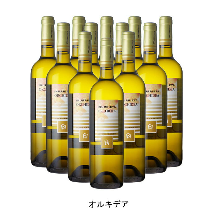 [12本まとめ買い] オルキデア 2020年 ボデガ イヌリエータ スペイン 白ワイン 辛口 スペインワイン ナバラ スペイン白ワイン ソーヴィニヨン ブラン 750ml