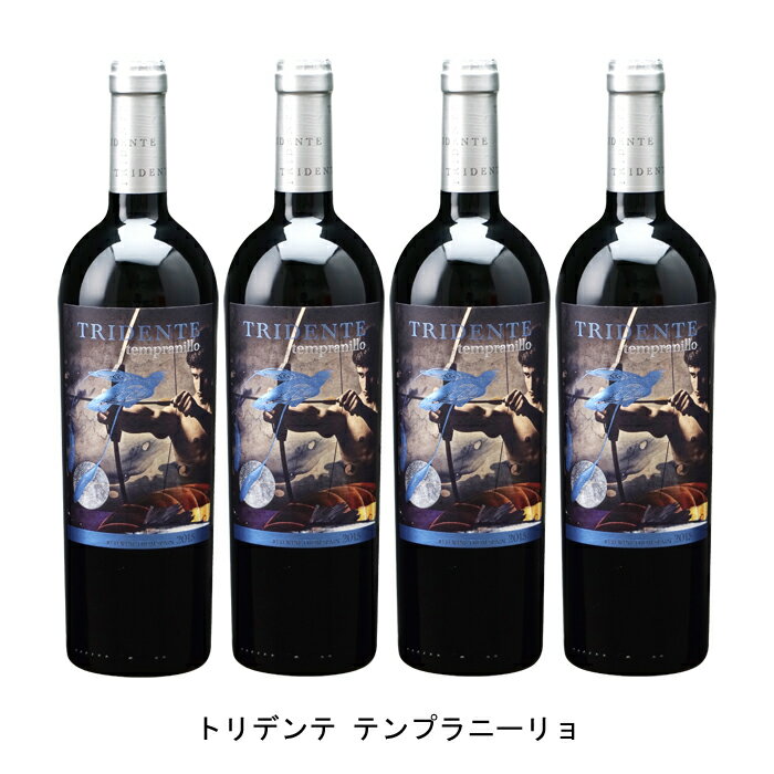 [4本まとめ買い] トリデンテ テンプラニーリョ 2019年 ボデガス トリデンテ スペイン 赤ワイン フルボディ スペインワイン カスティーリャ イ レオン スペイン赤ワイン テンプラニーリョ 750ml(4)