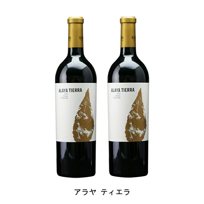  アラヤ ティエラ 2021年 ボデガス アタラヤ スペイン 赤ワイン フルボディ スペインワイン アルマンサ スペイン赤ワイン ガルナッチャ ティントレラ 750ml