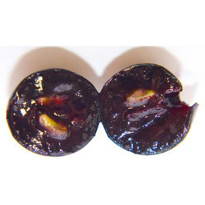 Narluの[2本まとめ買い] アラヤ ティエラ 2021年 ボデガス アタラヤ スペイン 赤ワイン フルボディ スペインワイン アルマンサ スペイン赤ワイン ガルナッチャ ティントレラ 750ml｜アングル3