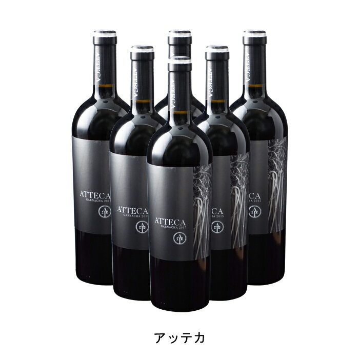 [6本まとめ買い] アッテカ 2021年 ボデガス アテカ スペイン 赤ワイン フルボディ スペインワイン カラタユド スペイン赤ワイン ガルナッチャ 750ml