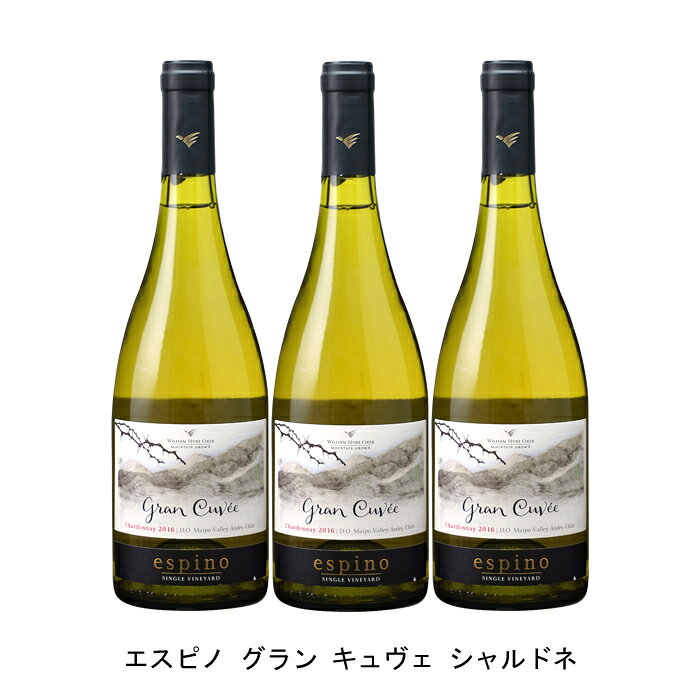 [3本まとめ買い] エスピノ グラン キュヴェ シャルドネ 2022年 ビーニャ ウィリアム フェーヴル チリ チリ 白ワイン 辛口 チリワイン マイポ ヴァレー チリ白ワイン シャルドネ 750ml narlu-10030483 Narlu パッケージ画像