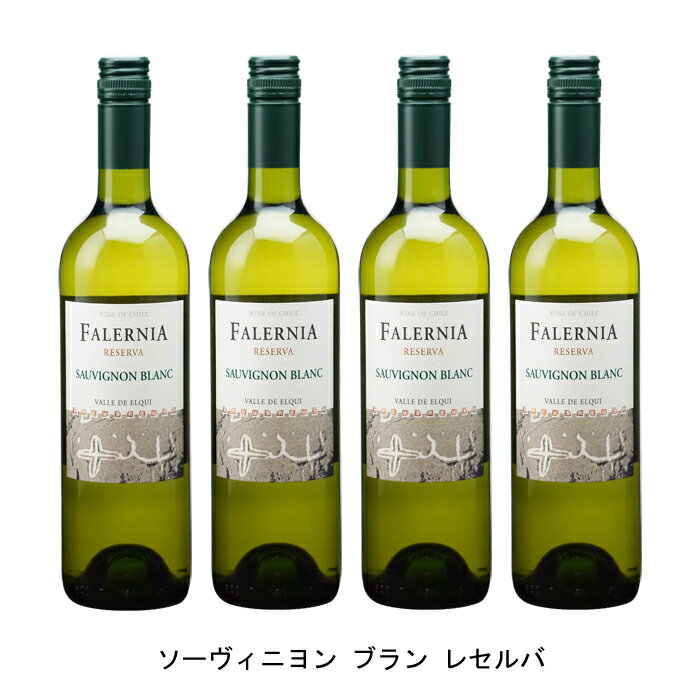 ソーヴィニヨン・ブランのアロマ全開【商品説明】・商品 : ソーヴィニヨン ブラン レセルバ(Sauvignon Blanc Reserva)・ヴィンテージ : 2021年・生産者(ワイナリー) : ビーニャ ファレルニア(Vina Fale...