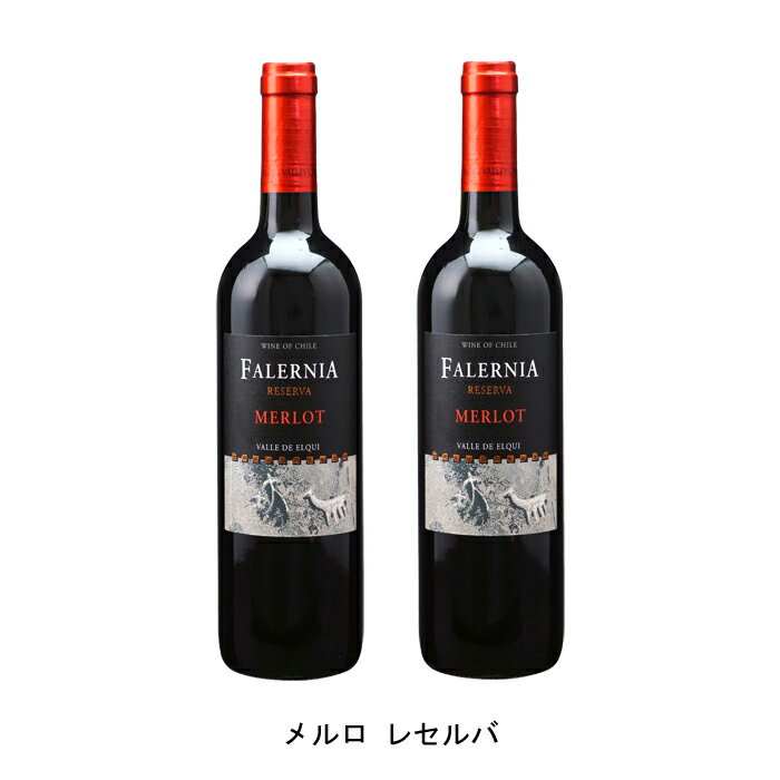 [2本まとめ買い] メルロ レセルバ 2020年 ビーニャ ファレルニア チリ 赤ワイン ミディアムボディ チリワイン エルキ ヴァレー チリ赤ワイン メルロー 750ml