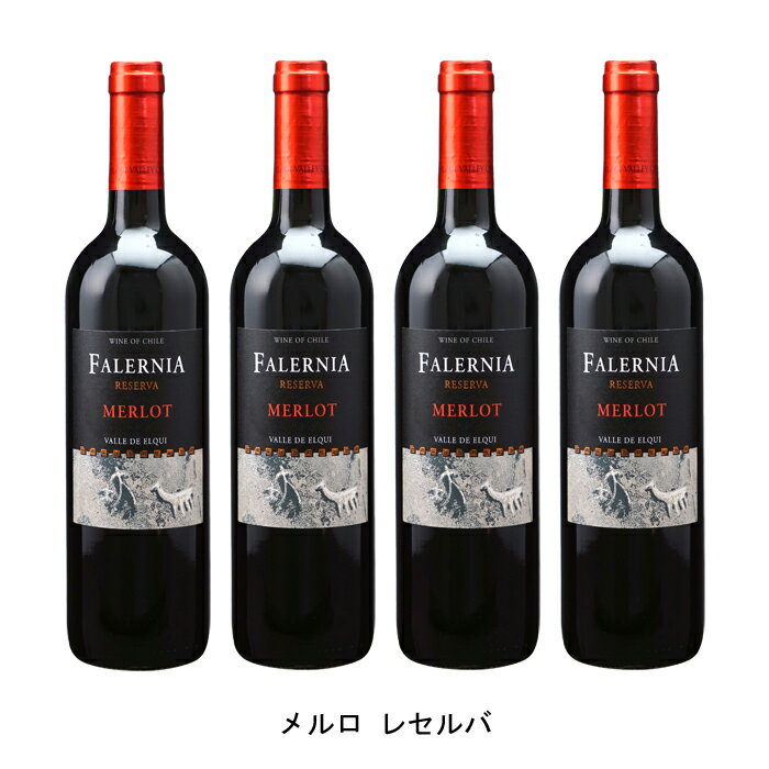 [4本まとめ買い] メルロ レセルバ 2020年 ビーニャ ファレルニア チリ 赤ワイン ミディアムボディ チリワイン エルキ ヴァレー チリ赤ワイン メルロー 750ml