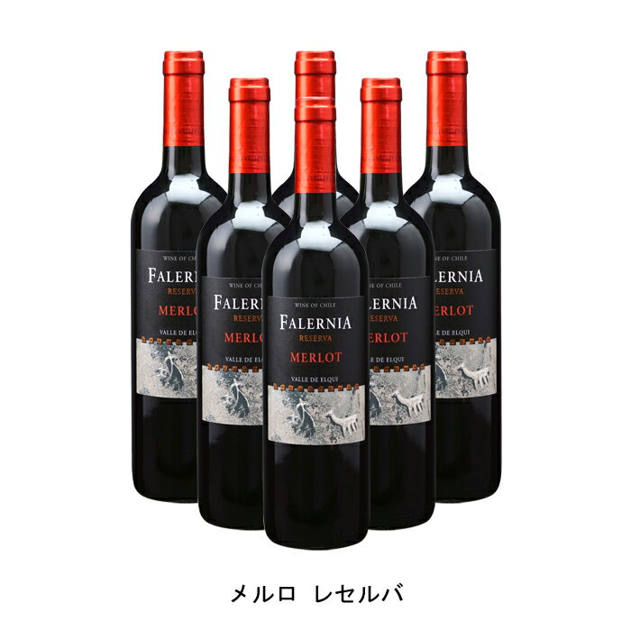 [6本まとめ買い] メルロ レセルバ 2020年 ビーニャ ファレルニア チリ 赤ワイン ミディアムボディ チリワイン エルキ ヴァレー チリ赤ワイン メルロー 750ml