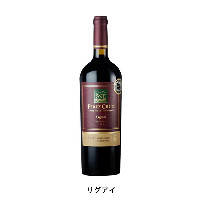 チリワイン リグアイ 2019年 ペレス クルス チリ 赤ワイン フルボディ チリワイン マイポ ヴァレー チリ赤ワイン シラー 750ml