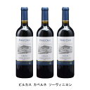 これぞベスト・オブ・カベルネ【商品説明】・商品 : ピルカス カベルネ ソーヴィニヨン(Pircas Cabernet Sauvignon)・ヴィンテージ : 2019年・生産者(ワイナリー) : ペレス クルス(Vina Perez Cruz)・原産国 : チリ・品種(原材料) : カベルネ ソーヴィニヨン・容量 : 750ml【補足説明】・料理 : 仔羊のロースト・ギフト : ギフトに最適・その他 : 肉に合う、レストラン向き・保存方法 : 直射日光・振動を避け、18℃以下の場所で保管して下さい。・評価 : ワインアドヴォケイトで2014年ヴィンテージが93点、デスコルチャドスで2014年ヴィンテージが94点これぞベスト・オブ・カベルネ最高の区画のブドウを厳選して造るカベルネ・ソーヴィニヨンのトップ・キュヴェ。熟した赤い果実のアロマにブラックペッパーのニュアンス、そしてかすかにハーブを思わせるニュアンスがあります。グラスに注ぐとさらに複雑さが増し、広がりがあります。たっぷりとフルボディでありながら、口に含むとフレッシュで、良くこなれたタンニンが心地よく感じられます。最上のカベルネと評される生産者各誌ワインガイドで非常に評価が高く、特にカベルネはヒュー・ジョンソンのポケットワインブックで最上のカベルネ・ソーヴィニヨンと評される程です。チリでは数少ない家族経営の生産者で、品質重視でエレガントさとフィネスを大切にしたフルボディでありながらバランスのとれた味わいのワインを産み出します。【特記事項】・商品画像は参考イメージとなり、ラベルデザイン変更やヴィンテージ変更などで、実際の商品とは異なる場合がございます。・商品画像のヴィンテージと商品説明のヴィンテージが違うは場合は、商品説明のヴィンテージでの対応とさせて頂きます。・ヴィンテージ切替やヴィンテージ変更が発生した場合は、ご注文を頂いた際に変更連絡を実施させて頂きます。・商品の配送は、配送手配が完了次第お送り致しますので、配送予定日よりも早くなる場合がございます。当商品で検索されている 人気 ・ おすすめ キーワードワイン 赤ワイン チリワイン チリ赤ワイン ワインセット 赤ワインセット チリワインセット チリ赤ワインセット まとめ買い 飲み比べ ギフト プレゼント 誕生日 お中元 お歳暮 金賞 銀賞 受賞 高得点 サクラアワード ワインアドヴォケイト ワインスペクター ソムリエ厳選