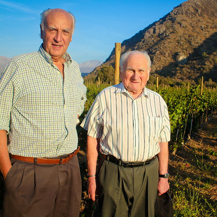 [12本まとめ買い] エスピノ カルムネール グラン キュヴェ 2018年 ビーニャ ウィリアム フェーヴル チリ チリ 赤ワイン フルボディ チリワイン マイポ ヴァレー チリ赤ワイン カルメネール 750ml