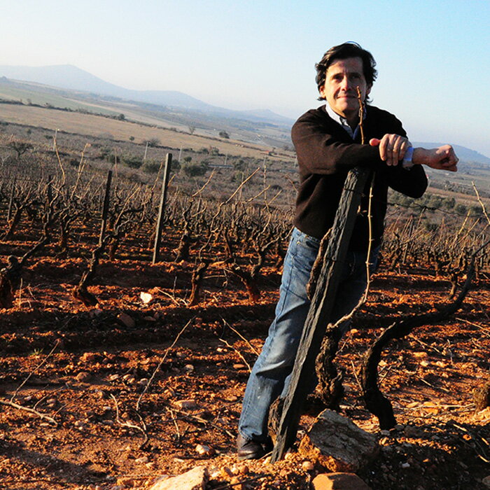 [3�ܤޤȤ��㤤] �٥��� �쥼����� 2019ǯ �٥���ʥ륤 ���ܥ�� �ޥǥ���� �ݥ�ȥ��� �֥磻�� �ե�ܥǥ� �ݥ�ȥ���磻�� �٥��顡����ƥꥪ���� �ݥ�ȥ����֥磻�� �ƥ��� ���ꥹ 750ml