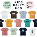 福袋 ハッピーバッグ おまかせ キッズ 子ども 子供 半袖 プリント Tシャツ 5枚セット 春物 夏物 ボーイズ ガールズ 男の子 女の子 110 120 130 140 150 160 13010057