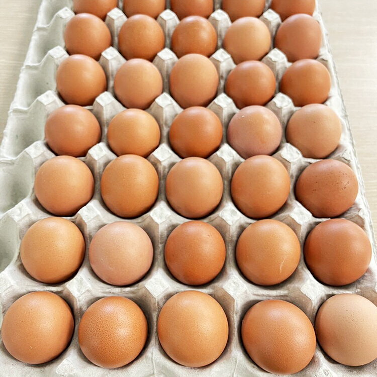 【採れたて農場直送!】あかねの虜 大玉40個 化粧箱