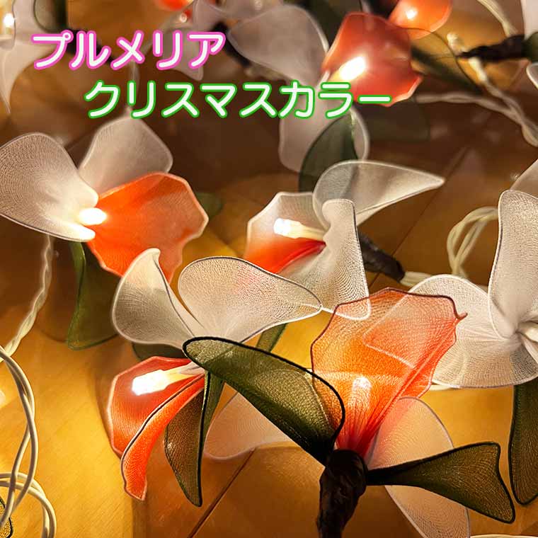 ۿñ3դ ꥹޥ顼 ե饤 ֤Υ ե LED ꥹޥ饤 åդ ...