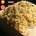 令和元年産/北海道産/おぼろづき玄米/20kg（5kg×4袋）【送料無料※九州・沖縄を除く】