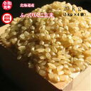 令和元年産/北海道産/ふっくりんこ玄米/20kg（5kg×4袋）【送料無料※九州・沖縄を除く】