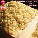 2年産/北海道蘭越産/ななつぼし玄米/10kg（5kg×2袋）【送料無料※沖縄を除く】