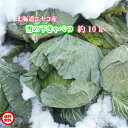 北海道ニセコ産／雪の下きゃべつ/10kg【送料無料】