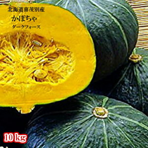 かぼちゃ/ダークホース/10kg/北海道産【送料無料】