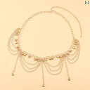 ウエストチェーン レディース ボヘミアン風 多層 重ね付け 蝶チャーム フリンジ メタル エレガント 上品 セクシー スカート ドレスアップ(x2)