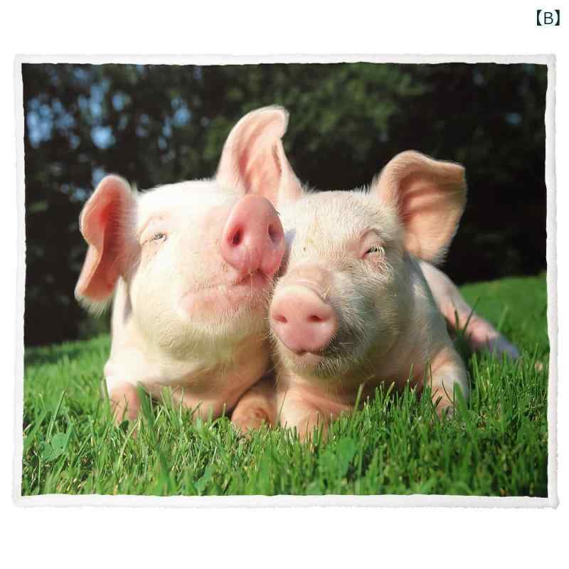 ブランケット 猫柄 フランネル ポリエステル 柔らか 快適 保温 あったか 北欧風 リビング オフィス お昼寝用 カートゥーン 動物 プリント プレゼント ギフト [3]