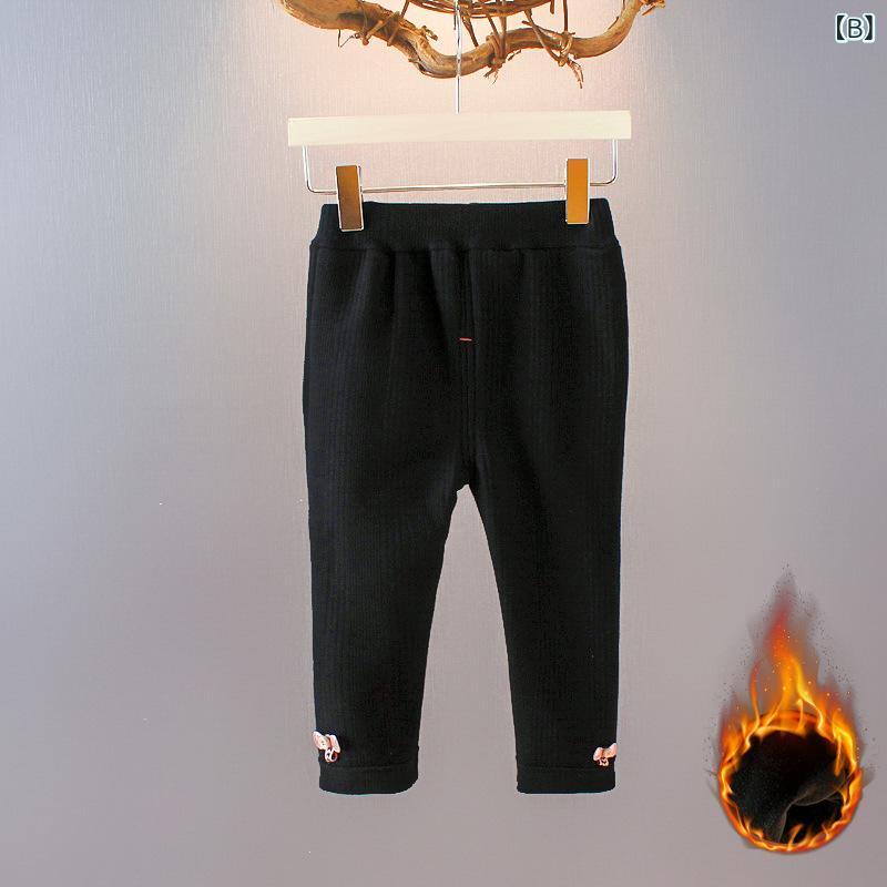 �쥮�� �٥ӡ� ���λ� �Ļ� ���å� �Ҷ��� ���� �� ���åȥ� �����奢�� ���ʻȤ� ������� Ĺ�� ���󥰥ѥ�� ���ܥ� ���졼 �֥�å�