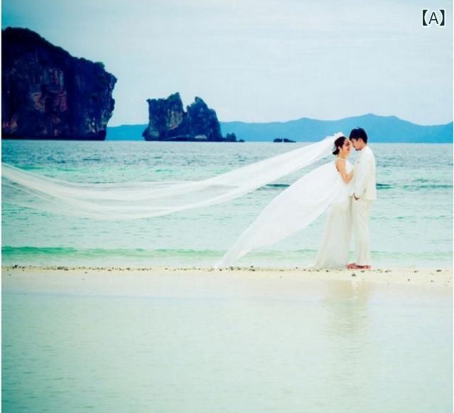 ベール 花嫁 ブライダル 結婚式 ウェディング シンプル 韓国風 各種丈対応 シングルレイヤー プレーン ..