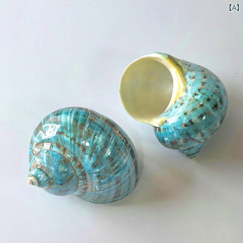 Interior Accessories - 貝殻 磨きグリーン巻貝 シェル 水槽レイアウト アクアリウム装飾 ヤドカリ住み替え用シェル インテリア置物 飾り 天然 自然素材