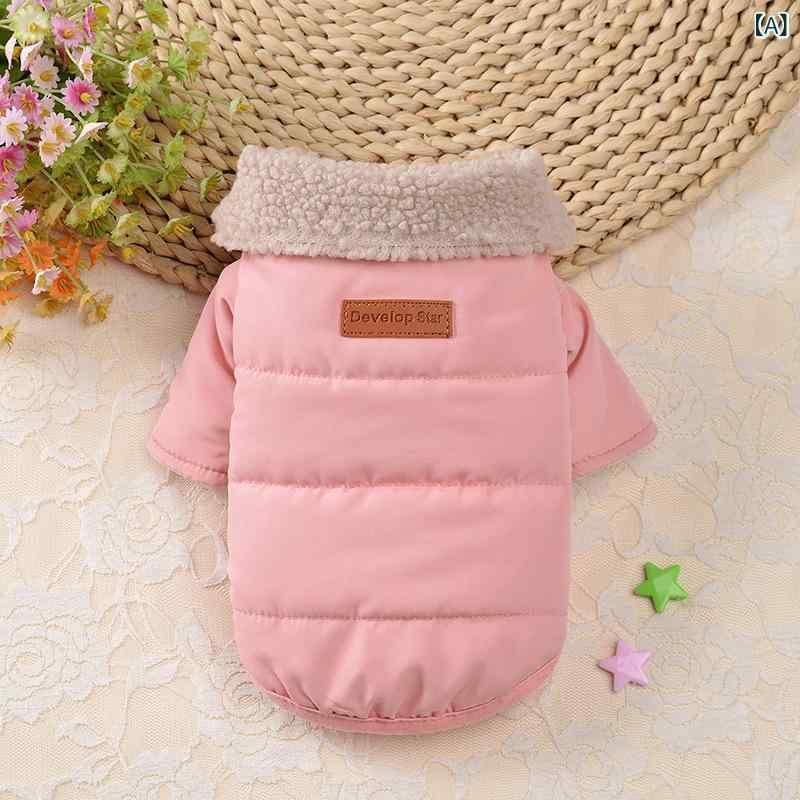 �ڥå��� ���� �� ǭ ������ �淿���� �ɴ� �ݲ� ���� ������ �ݥꥨ���ƥ��� ������� ���襤�� �ԥ� ���꡼�� ������ ������ ���Ф��� ������