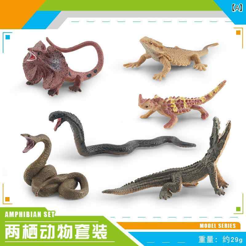 知育玩具 キッズ リアル 精巧 両生動物 爬虫類 模型 フィギュア カメレオン コブラ スキンク アマガエル ゾウガメ 多種セット 子供 学..