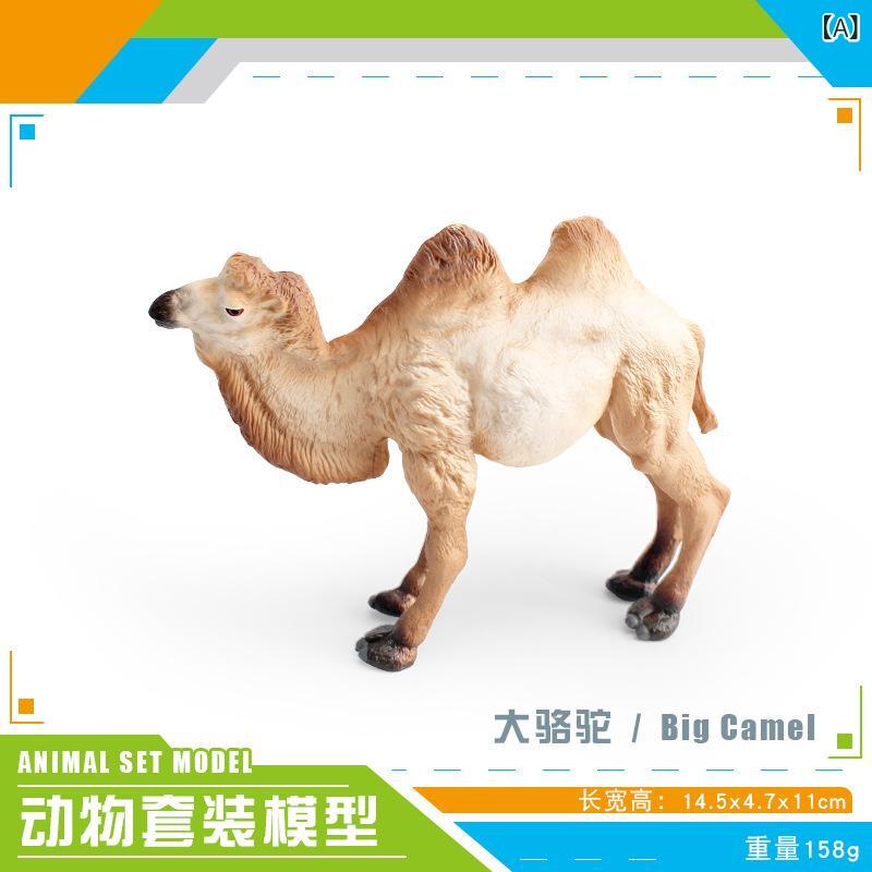 乐天商城 - フィギュア キッズ リアル 精巧 野生動物 ワイルドアニマル 動物フィギュア ラクダ キリン ヘラジカ 大型 PVC製 知育玩具 学習 教育 デスク オブジェ インテリア 置物