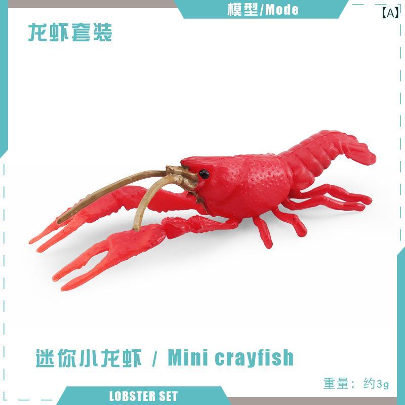 フィギュア リアル 精巧 PVC製 中実 オブジェ 置物 インテリア アカザエビ ザリガニ ミナミヌマエビ テナガエビ 甲殻類 子供向け 学習教材 コレクション ディスプレイ