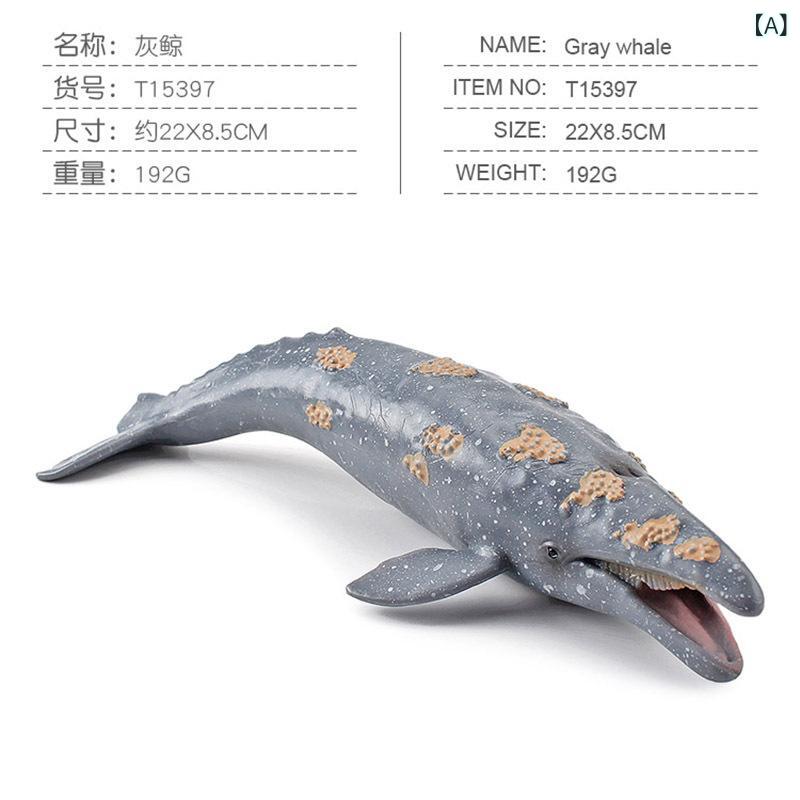 おもちゃ フィギュア リアル 海洋生物 4種セット コレクション 模型 室内 装飾 オブジェ 灰色クジラ フウセンウナギ カラチョウザメ ヨーロッパカレイ PVC 丈夫 ミニチュア 立体図鑑 知育 観賞用 プレゼント