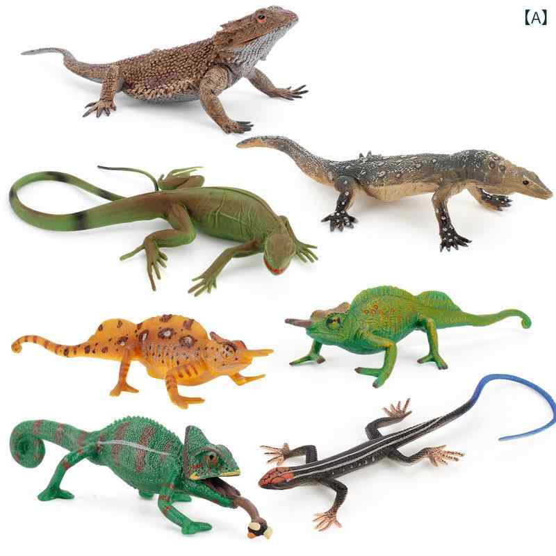 ・主な素材: プラスチック・重量: 0.25kg・対象年齢: 15-35歳・模型カテゴリ: 動植物