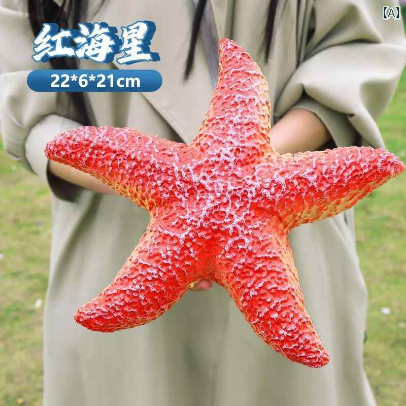 キッズ 海洋動物 フィギュア セット 海豚 鲨鱼 海龟 鲸鱼 模型 益智玩具 PVC 軟質 ...