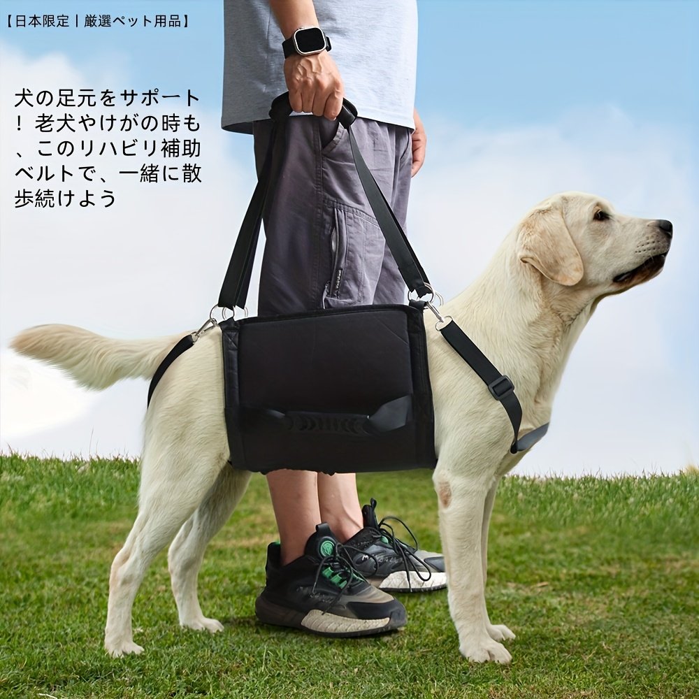 商品仕様お手入れ方法洗濯機洗い材料ポリエステル原産国中国カラーブラック、ブルー大きさM、L、XL、XXL