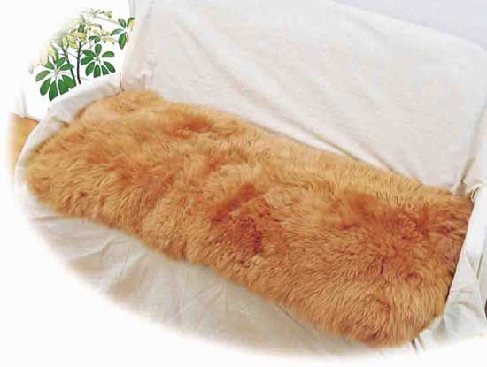 ࡼȥ󡡥åMG541240120(եС