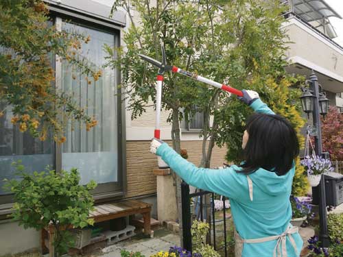 Rakuten - 強力刈り込鋏(剪定 枝 庭木 手入れ はさみ ハサミ エダ 強力 大進 園芸 ガーデニング 農業 女性 庭 農作業 家庭菜園 用具 工具 高枝切鋏 太い枝 枝切ばさみ せんていばさみ 園芸用はさみ 剪定用具)